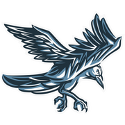 :raven:
